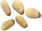 piñones