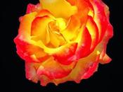 Reseña #36: Subsequent Proposal: Tale Pride, Prejudice Persuasion Joana Starnes