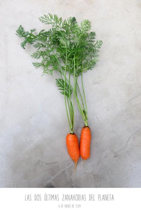 zanahoriasdelplaneta