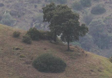 NO PERDÁIS NUNCA LA ILUSIÓN