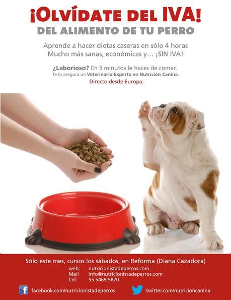 cartelcursosDF-Print