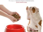 Dietas caseras, BARF, ACBA, naturales para perro ¿Complicadas elaborar? Falso