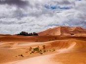 Desiertos: donde reina silencio