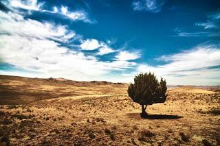 Desierto de Idaho, Oregon, Estados Unidos