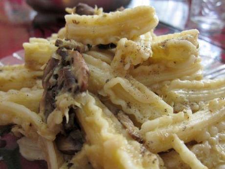 capricci-con-champiñones-portobello-y-salsa-de-puerros-