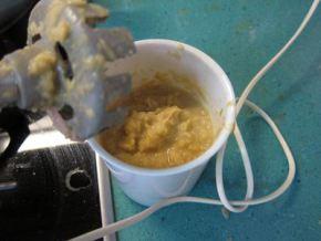 Capricci con champiñones portobello y salsa de puerros