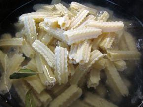 Capricci con champiñones portobello y salsa de puerros