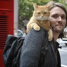 Un gato callejero llamado Bob - James Bowen