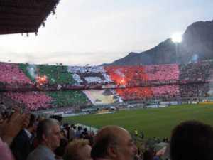 Tifo Cartulinas Palermo