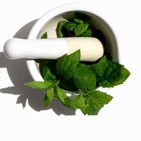 11 maneras distintas de tomar menta