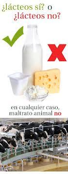 LÁCTEOS ¿DE QUÉ EQUIPO ERES?