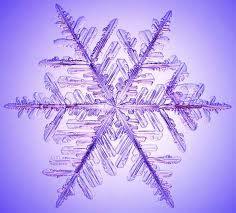 HAN ESCRITO A DIME QUÉ COMES....valor nutricional de las verduras congeladas