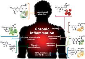 LOS POLIFENOLES, EN BOCA DE TODOS; por Alicia Julibert