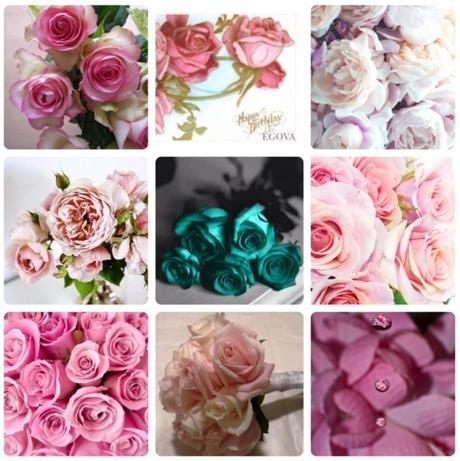 Un Cumpleaños Muy Especial