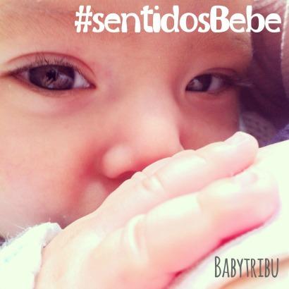 Serie sensorial: cada mes un sentido del bebé