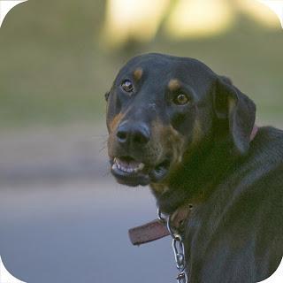 Must Have Apps: A Beautiful Mess