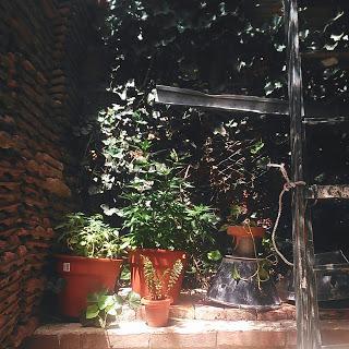 Must Have Apps: A Beautiful Mess