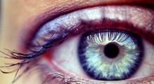 ojo