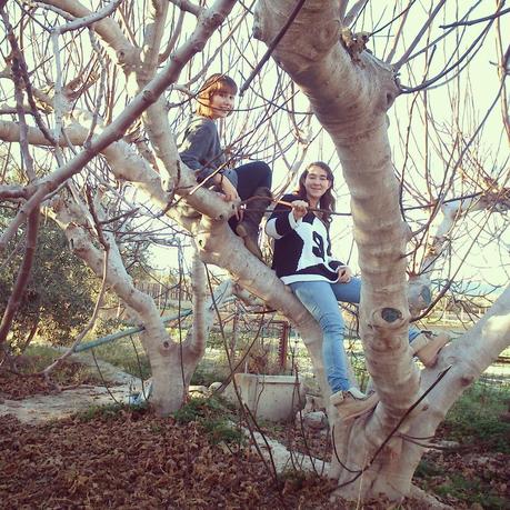 Mi proyecto #nem365 en instagram