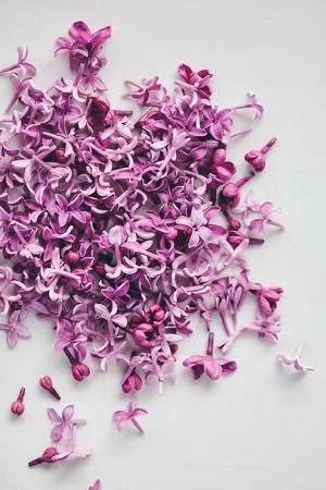 Radiant Orchid Pantone, el color del 2014.