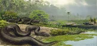 Titanoboa, la serpiente más grande que ha existido