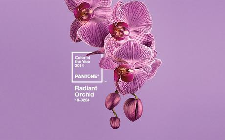 Radiant Orchid, Pantone Color of the year 2014