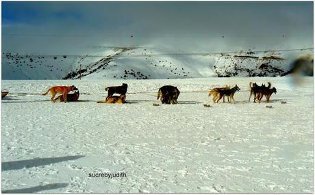 BREAK IN ANDORRA BREAK IN ANDORRA