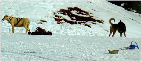 BREAK IN ANDORRA BREAK IN ANDORRA