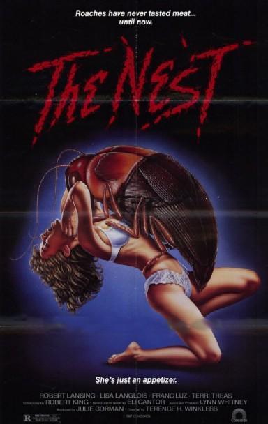 Nido_subterraneo-737603765-large