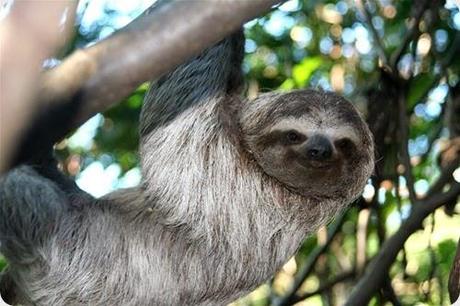 INBIOparque un parque que resume toda la biodiversidad de Costa Rica.