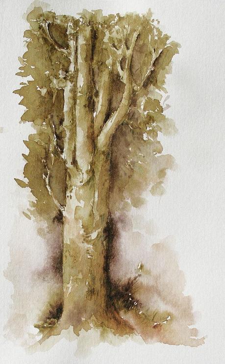 Tintas, plumas y pincel de agua - Pens & Inks