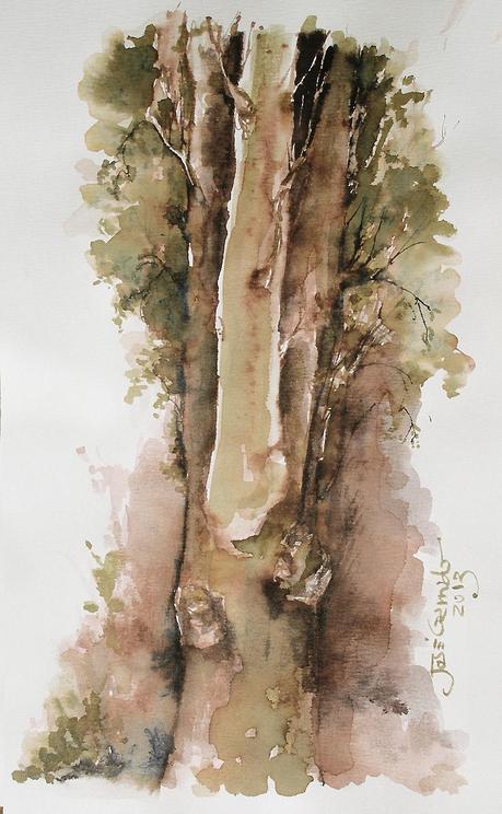 Tintas, plumas y pincel de agua - Pens & Inks