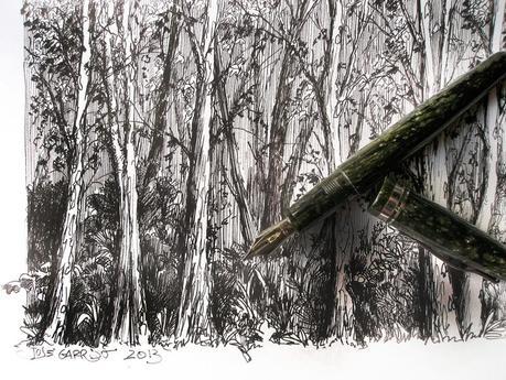 Dibujos con pluma estilográfica - ÁRBOLES - Pen & ink drawings