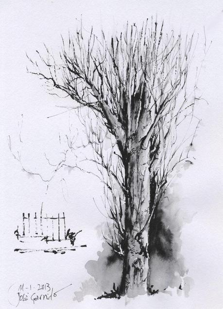 Dibujos con pluma estilográfica - ÁRBOLES - Pen & ink drawings