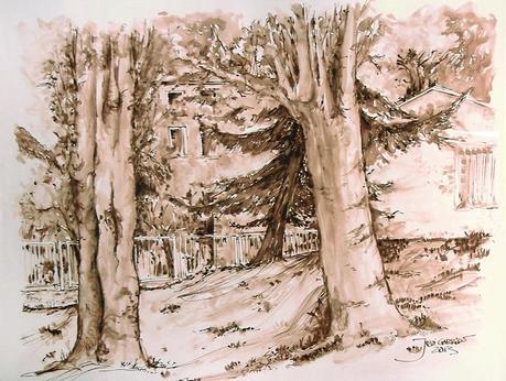 Dibujos con pluma estilográfica - ÁRBOLES - Pen & ink drawings