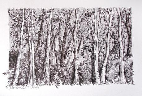 Dibujos con pluma estilográfica - ÁRBOLES - Pen & ink drawings