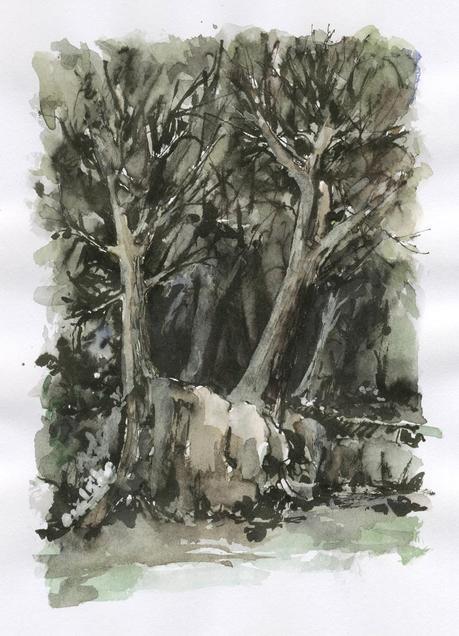 Dibujos con pluma estilográfica - ÁRBOLES - Pen & ink drawings