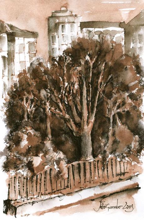 Dibujos con pluma estilográfica - ÁRBOLES - Pen & ink drawings