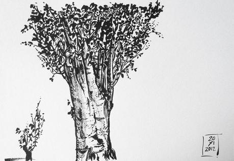 Dibujos con pluma estilográfica - ÁRBOLES - Pen & ink drawings