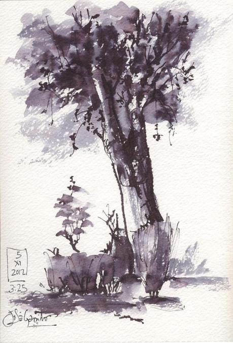 Pluma caligrafía china - DIBUJOS - Tinta y pincel de agua