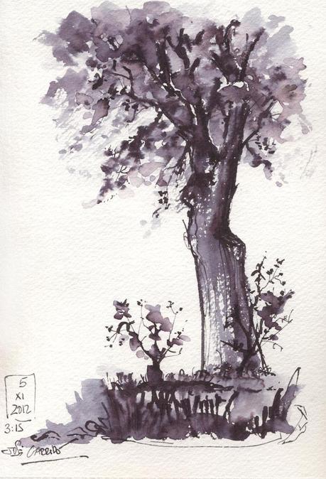 Pluma caligrafía china - DIBUJOS - Tinta y pincel de agua