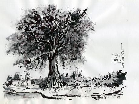 Pluma caligrafía china - DIBUJOS - Tinta y pincel de agua