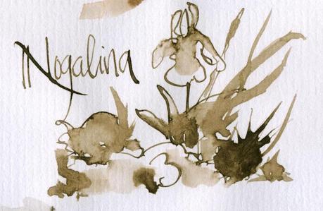 Tintas de color marrón - DIBUJOS