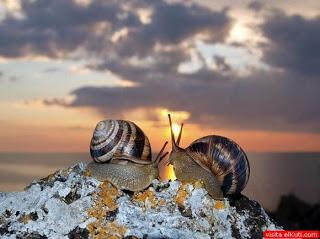 Normal 0 21 false false false ES X-NONE X-NONE MicrosoftI...