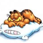 Remedios naturales para los ronquidos