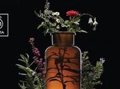 Recomendación hoy: jabon jazmín limpiador facial apivita.