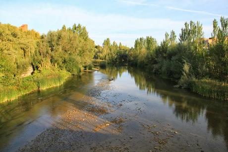 Proyecto río Bernesga: Otoño