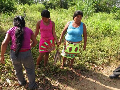 Mujeres indígenas panameñas