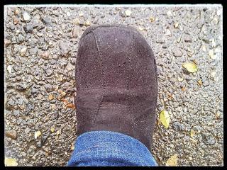 Sello de calidad: Protector de calzado Kiwi