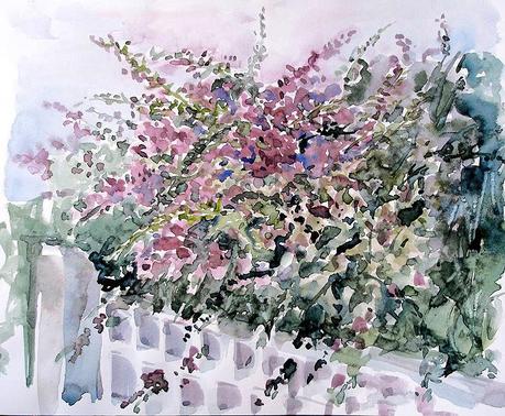 Buganvillas - Acuarela - Watercolor
